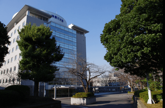 神奈川大学.画像